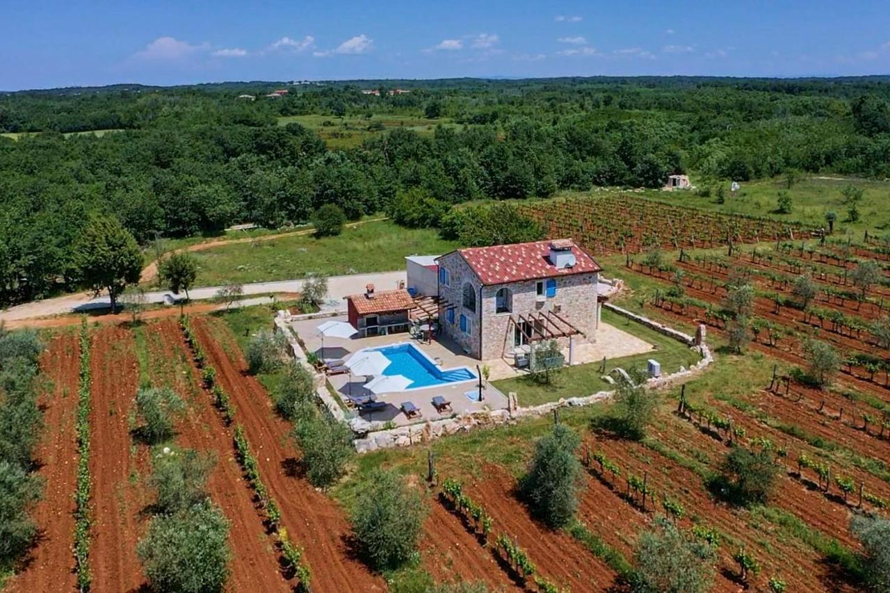 Vila Relax House Surrounded By Olives And Vineyard Stifanići Exteriér fotografie