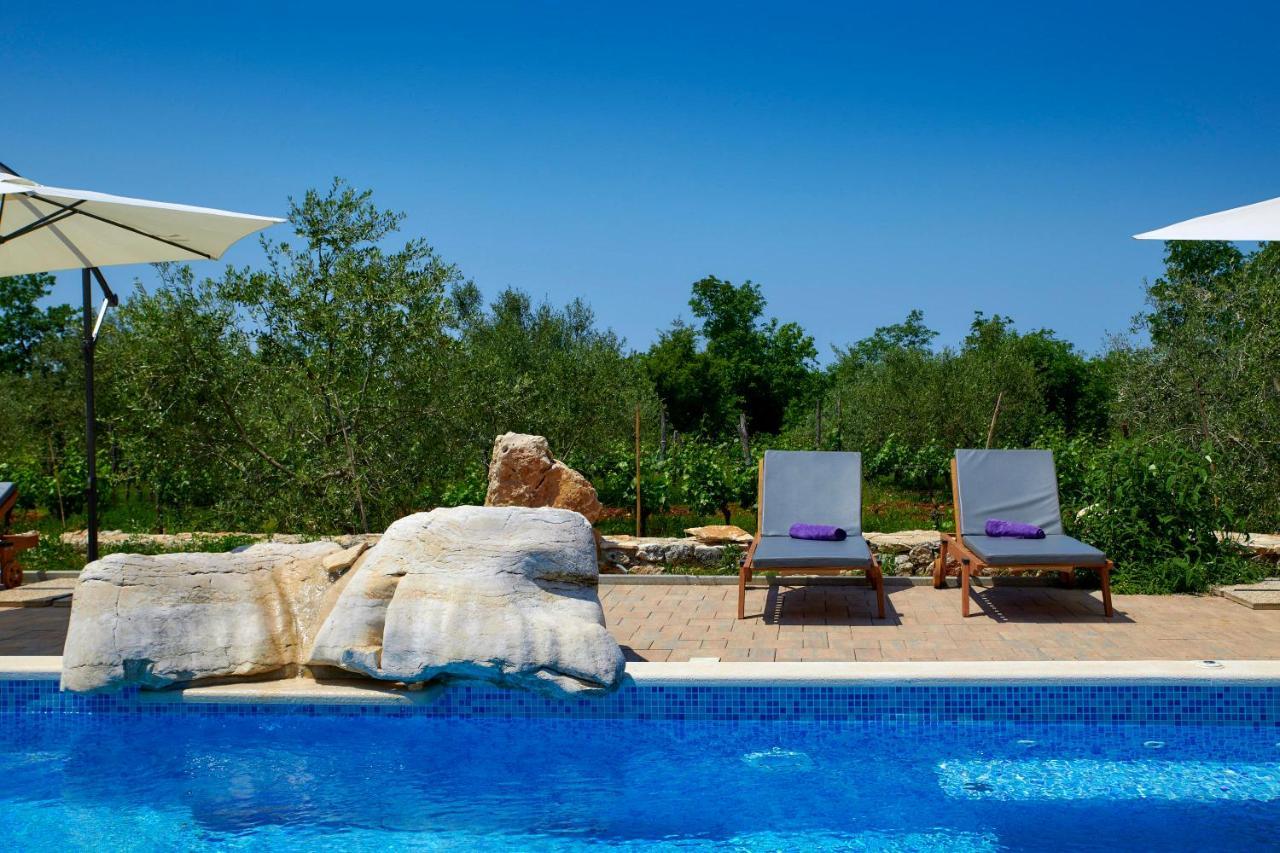 Vila Relax House Surrounded By Olives And Vineyard Stifanići Exteriér fotografie