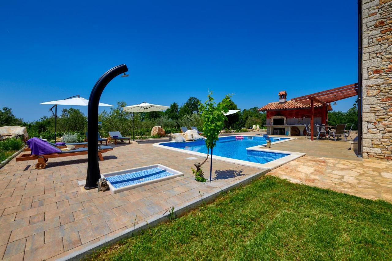 Vila Relax House Surrounded By Olives And Vineyard Stifanići Exteriér fotografie