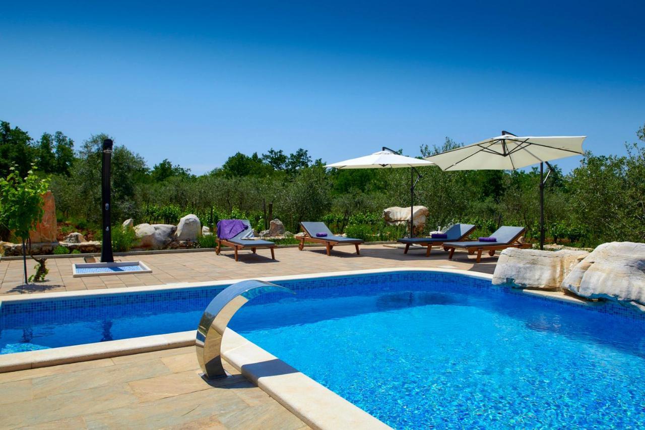 Vila Relax House Surrounded By Olives And Vineyard Stifanići Exteriér fotografie