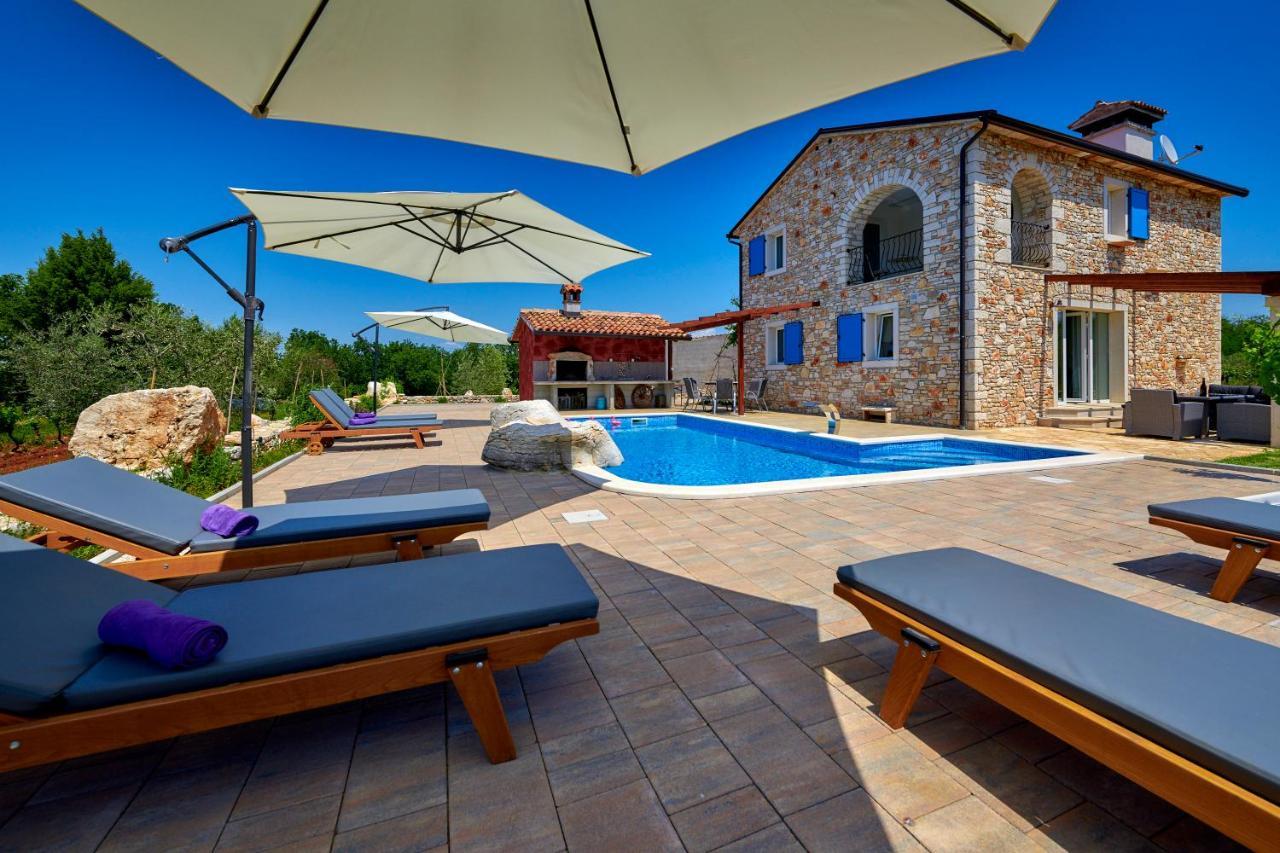 Vila Relax House Surrounded By Olives And Vineyard Stifanići Exteriér fotografie