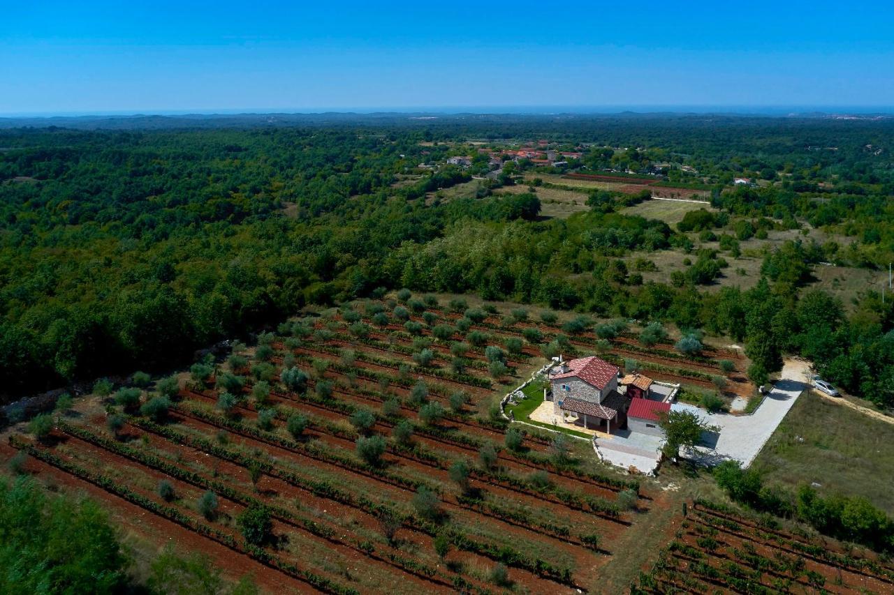 Vila Relax House Surrounded By Olives And Vineyard Stifanići Exteriér fotografie