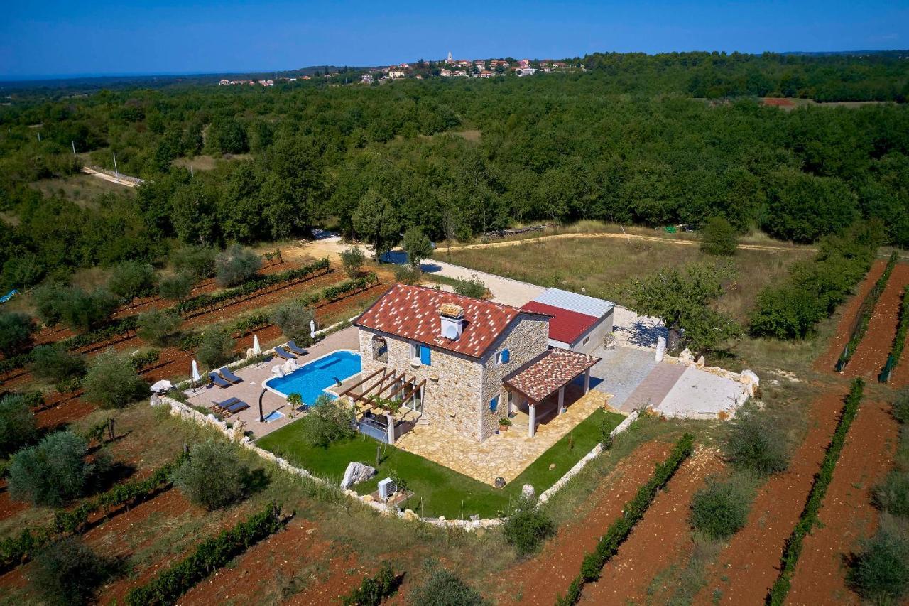 Vila Relax House Surrounded By Olives And Vineyard Stifanići Exteriér fotografie