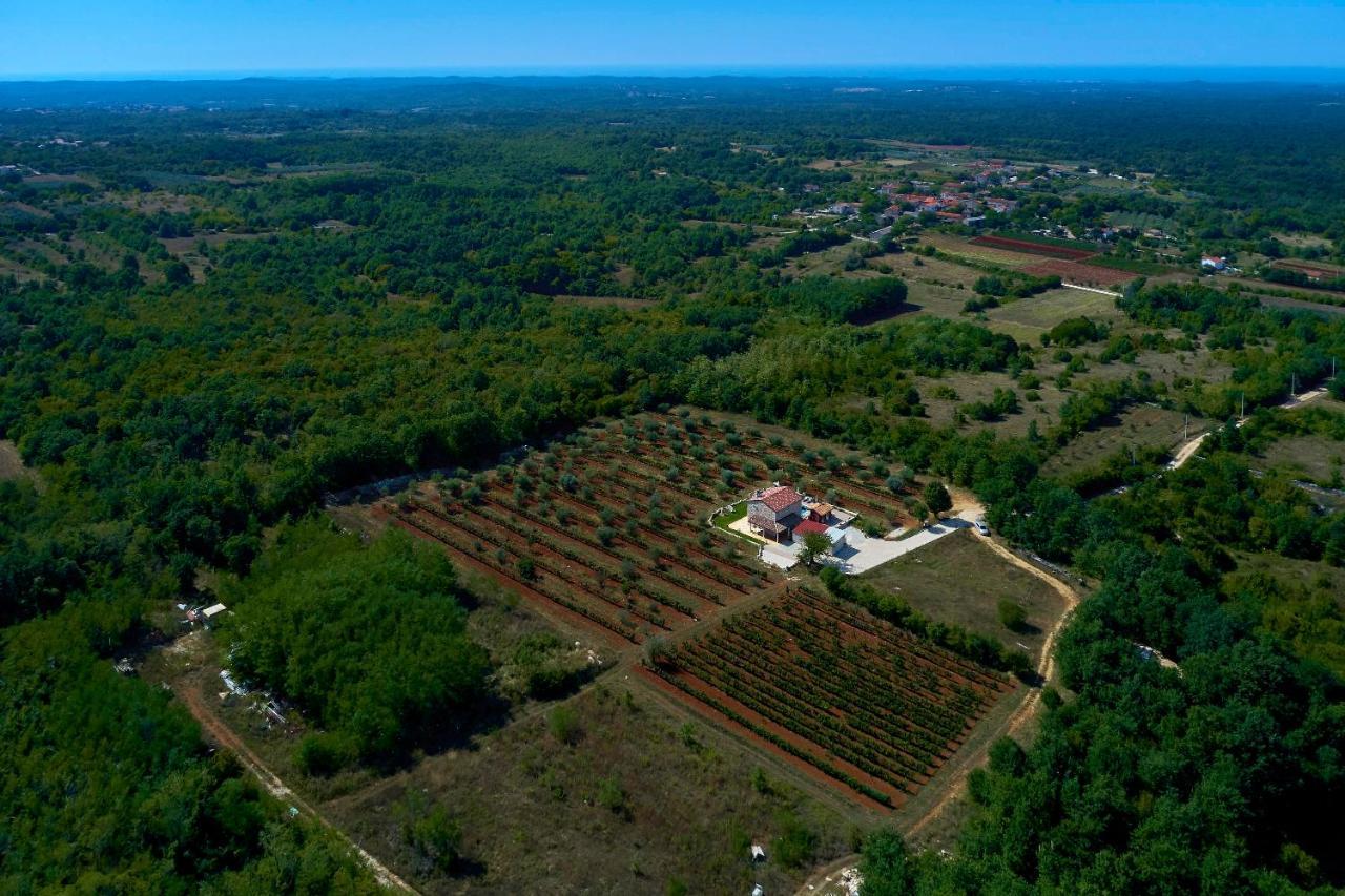 Vila Relax House Surrounded By Olives And Vineyard Stifanići Exteriér fotografie